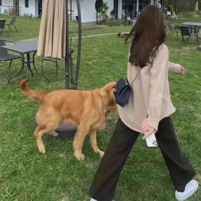 绚烂一刻海报